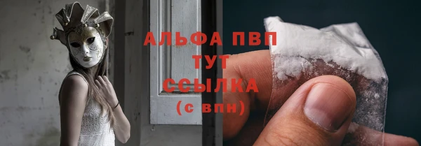соль ск Новозыбков