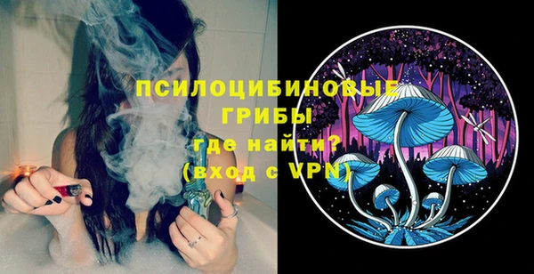 MDMA Новодвинск