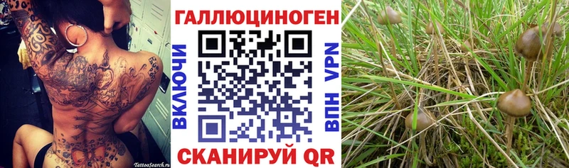 Галлюциногенные грибы мухоморы  сайты даркнета как зайти  Серафимович 